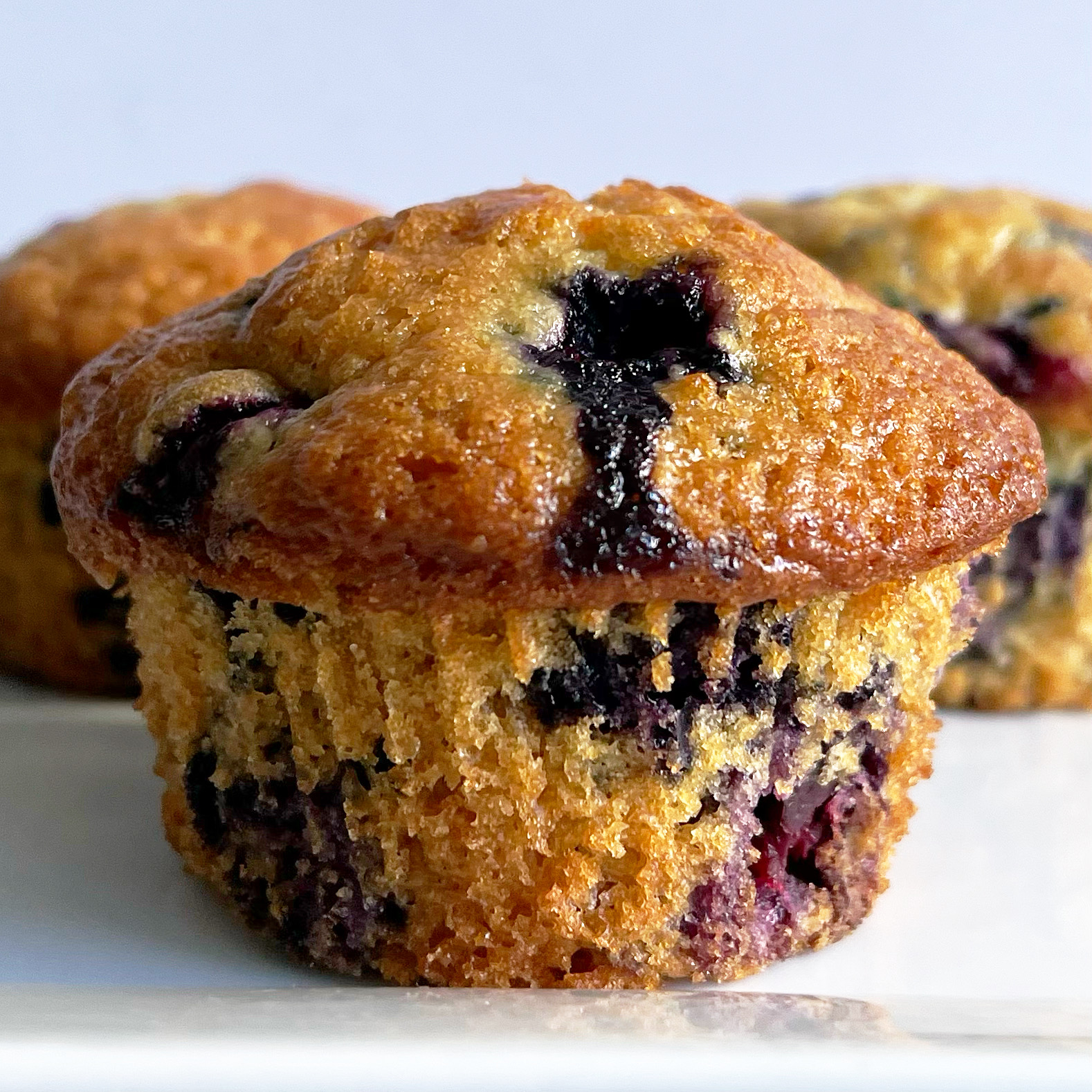 BLUEBERRY BUTTERMILK MUFFINS